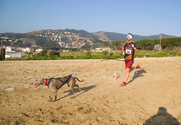 People Participating Canicross Entrevinyes Race February 2020 Alella Barcelona Spain — Stock Photo, Image