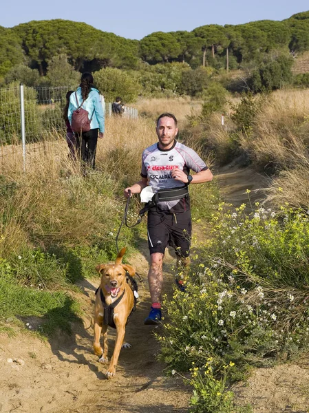 People Participating Canicross Entrevinyes Race February 2020 Alella Barcelona Spain — Stock Photo, Image