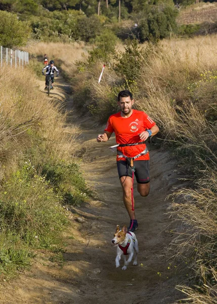 People Participating Canicross Entrevinyes Race February 2020 Alella Barcelona Spain — Stock Photo, Image