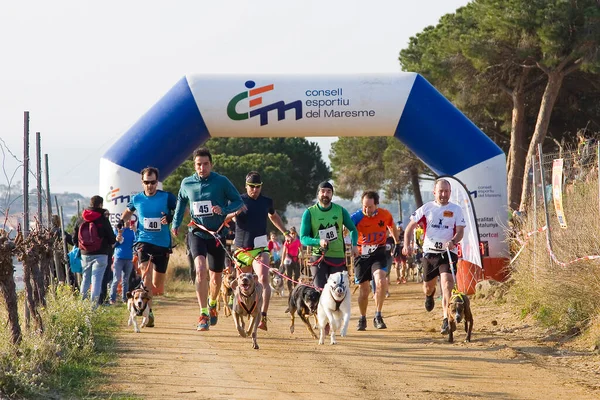 Personas Que Participan Carrera Canicross Entrevinyes Febrero 2020 Alella Barcelona —  Fotos de Stock