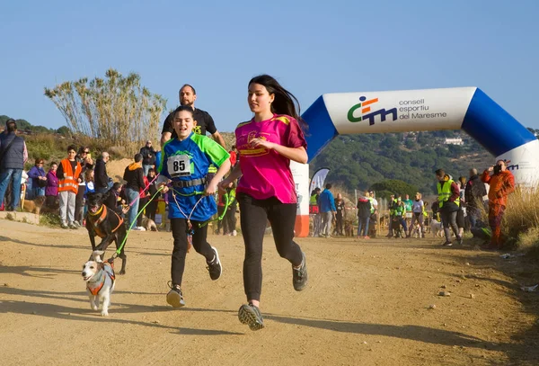 People Participating Canicross Entrevinyes Race February 2020 Alella Barcelona Spain — Stock Photo, Image