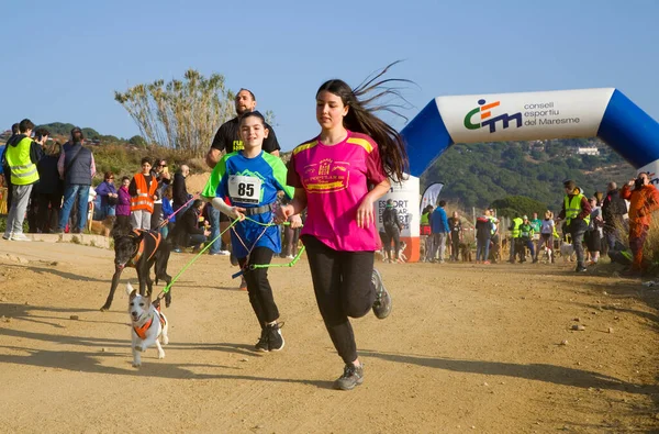 People Participating Canicross Entrevinyes Race February 2020 Alella Barcelona Spain — Stock Photo, Image