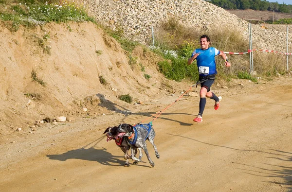 Man Participating Canicross Entrevinyes Race February 2020 Alella Barcelona Spain — Stock Photo, Image
