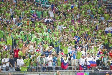 Slovenya destekçileri