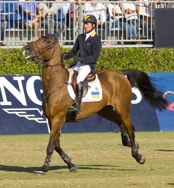 Horse jumping - cassio rivetti