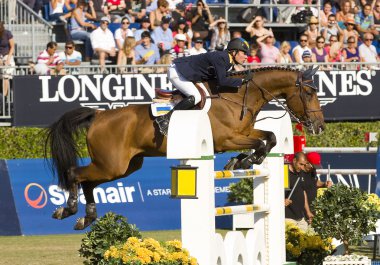 Horse jumping - cassio rivetti