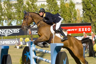 Horse jumping - cassio rivetti