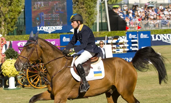 Horse jumping - Cassio Rivetti — Stock Photo, Image