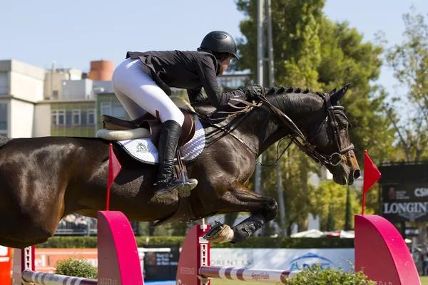 Paard springen - caitlin ziegler — Stockfoto