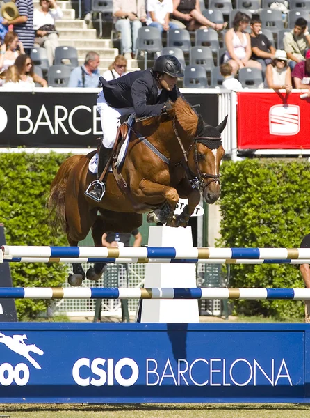 Paard springen - pedro veniss — Stockfoto