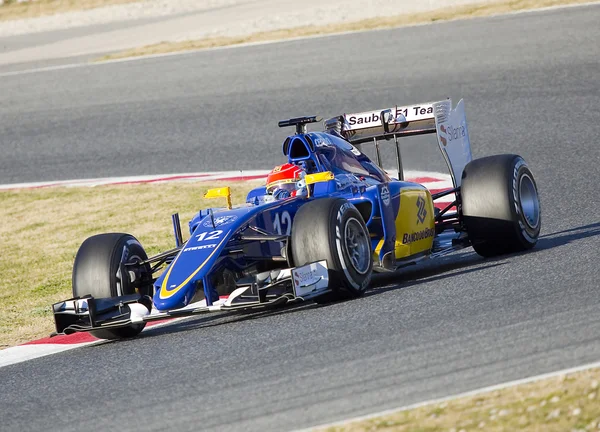 Felipe Nasr — Stockfoto