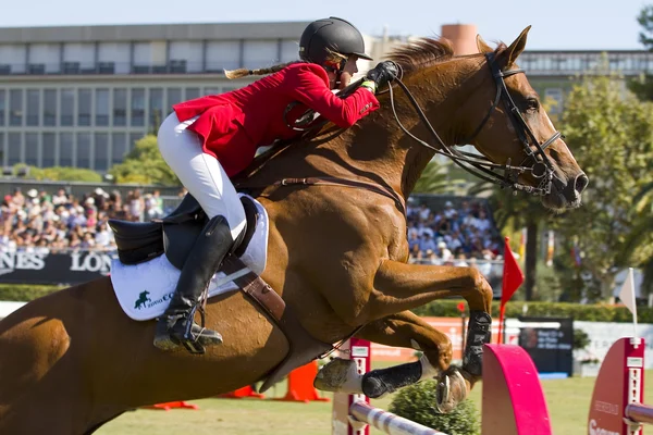 Horse jumping — Stock Photo, Image