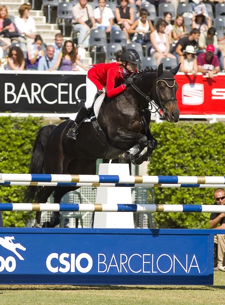 Salto de cavalo — Fotografia de Stock