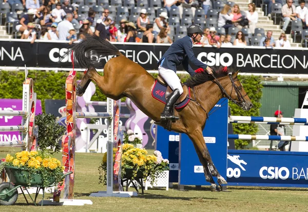 Horse jumping — Stock Photo, Image