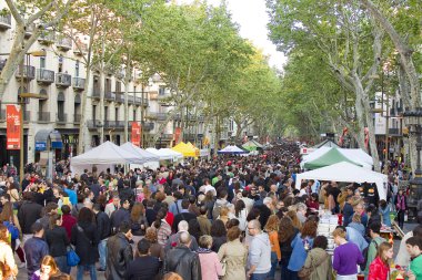 Barselona da Sant Jordi gün