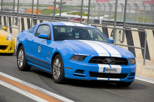 Ford Mustang 2013 — Stok fotoğraf