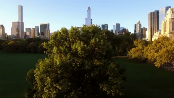 Aerial anläggning skott av new Yorks skyline — Stockvideo