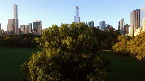 Établissement aérien plan de la ville de New York skyline — Video