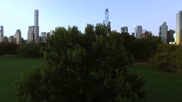 Przedsiębiorstwa lotnicze shot panoramę Nowego Jorku — Wideo stockowe