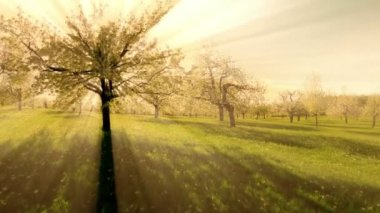 Güneş Güneş ışınları.