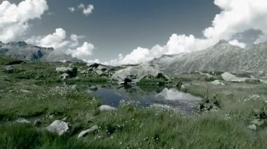 huzurlu dağ manzarası