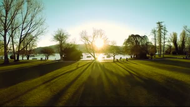 Park Bäume Natur. — Stockvideo