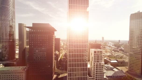 City skyline. — Stock Video