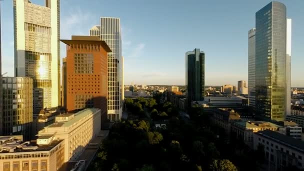 Skyline van de stad. — Stockvideo