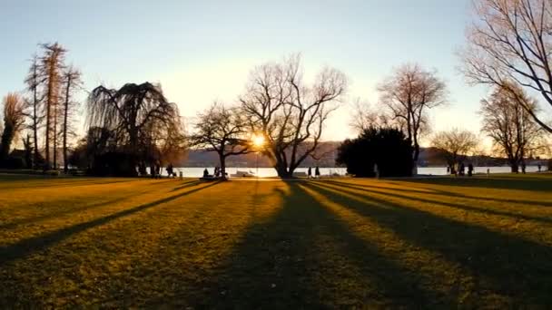 Silhouette degli alberi al tramonto . — Video Stock