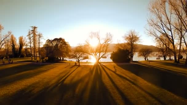 Bomen silhouet bij zonsondergang. — Stockvideo