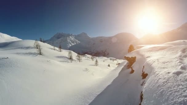 Paesaggio invernale neve — Video Stock