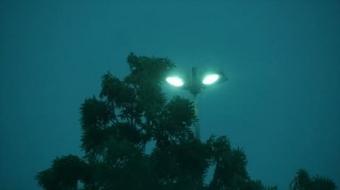 Fırtınalı Rüzgar