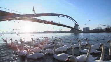 Güzel romantik günbatımı.