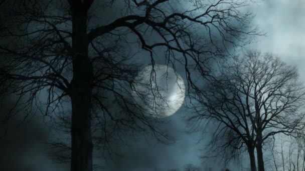 Полная луна и деревья — стоковое видео