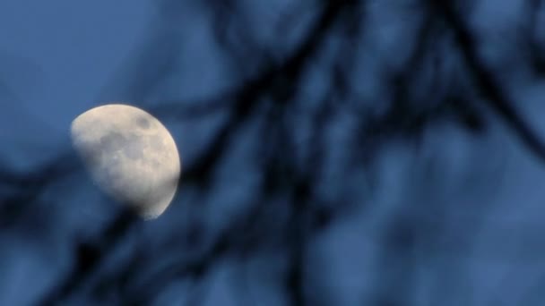 Luna aumento lapso de tiempo . — Vídeo de stock