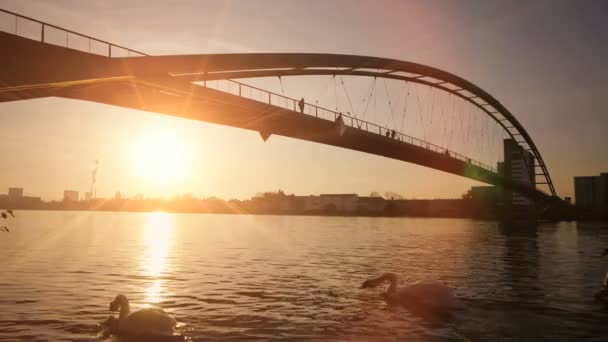 Puente al atardecer . — Vídeos de Stock