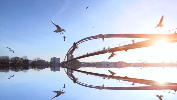 Hermoso atardecer romántico . — Vídeo de stock