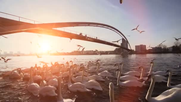 Schöner romantischer Sonnenuntergang. — Stockvideo