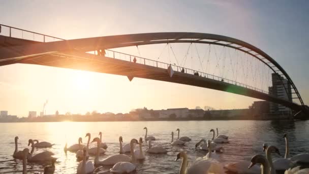 Puente al atardecer . — Vídeos de Stock