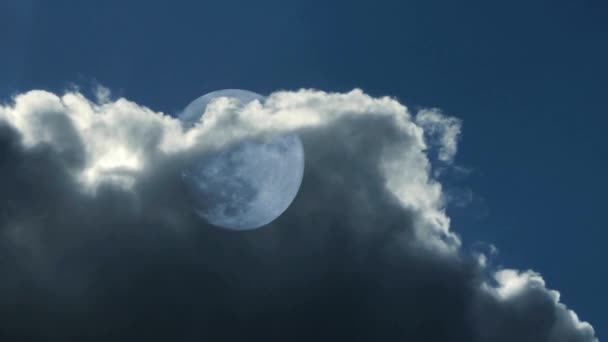 Moon behind clouds — Stock Video