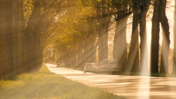 Street road way. — Stock Video