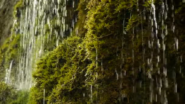 Acqua naturale . — Video Stock