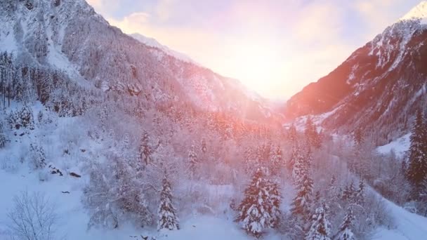 Inverno neve paesaggio — Video Stock