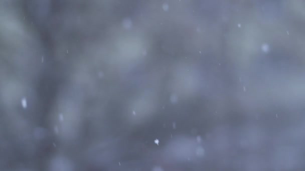 Sneeuw winter achtergrond — Stockvideo