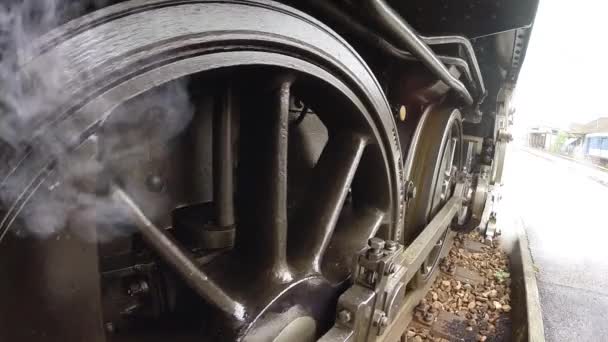 Smoking steam engine train. — Stock Video