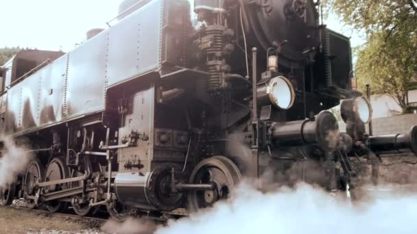Tåg järnvägarna spår. — Stockvideo