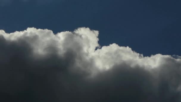 Flugzeug, das über Wolken fliegt — Stockvideo