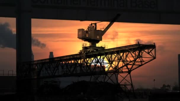 Cranes moving container. — Stock Video