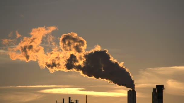 Nube de humo de contaminación — Vídeo de stock