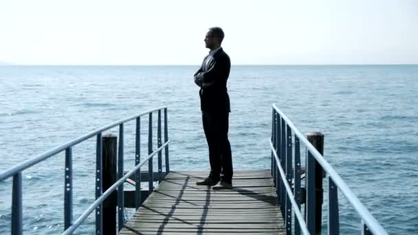 Businessman standing on the wooden bridge — Stock Video